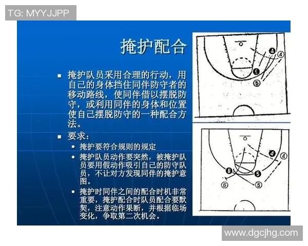 深入剖析杭州篮球队战术表现与数据分析的关系与影响