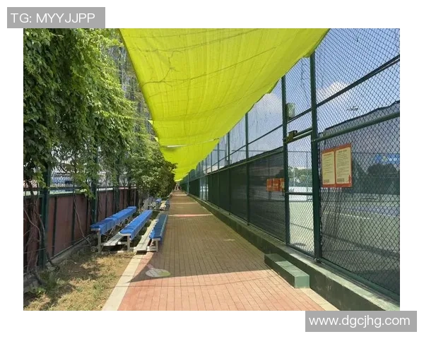 赛后分析：上海网球队与西安网球队个人能力对比及表现评估